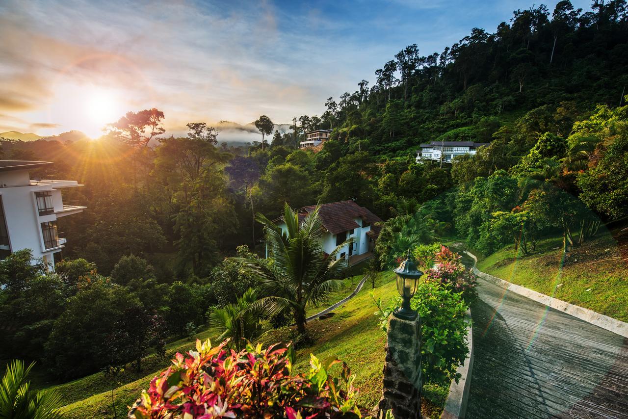 Rest Pause Rainforest Retreat Bentong Esterno foto