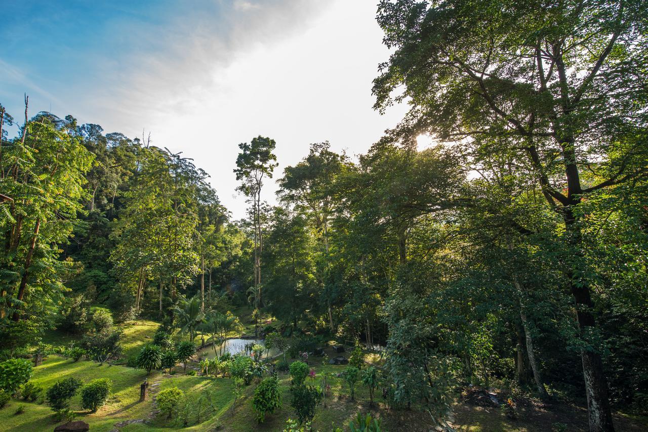 Rest Pause Rainforest Retreat Bentong Esterno foto